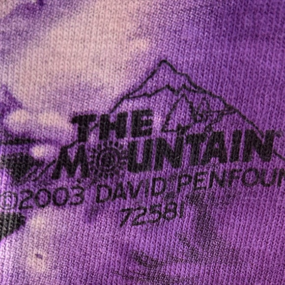 The Mountain 2003 graphic tee - Picture 3 of 6